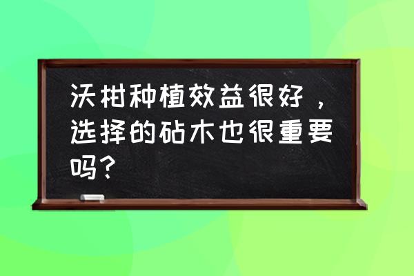 沃柑种子怎么催芽 沃柑种植效益很好，选择的砧木也很重要吗？