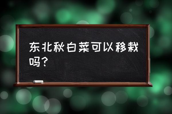 白菜栽大苗还是小苗好 东北秋白菜可以移栽吗？