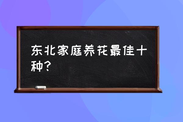 长什么样的萱草花可以室内种植 东北家庭养花最佳十种？