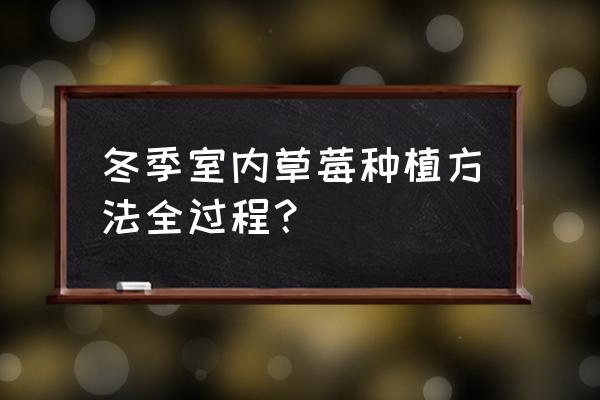 暖棚草莓东西栽好还是南北栽好 冬季室内草莓种植方法全过程？