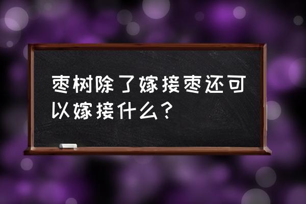 家里老枣根生苗可以嫁接好枣吗 枣树除了嫁接枣还可以嫁接什么？