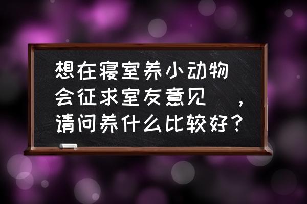 饲养动物小妙招 想在寝室养小动物（会征求室友意见），请问养什么比较好？