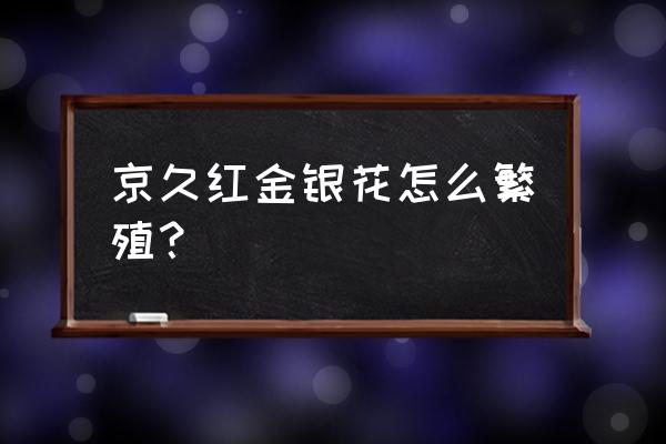 金银花小苗如何育苗 京久红金银花怎么繁殖？