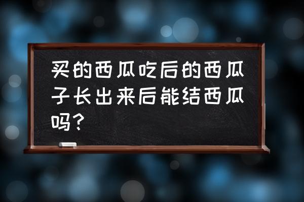 吃完西瓜西瓜籽怎么种植 买的西瓜吃后的西瓜子长出来后能结西瓜吗？