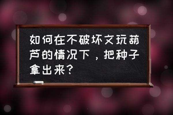 提取种子文件的方法 如何在不破坏文玩葫芦的情况下，把种子拿出来？