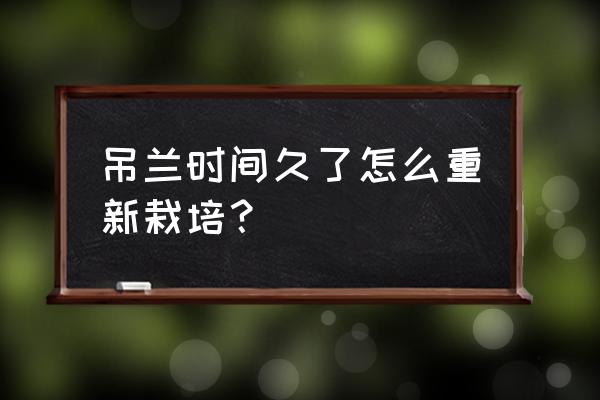 怎样能让吊兰长得更茂盛呢 吊兰时间久了怎么重新栽培？