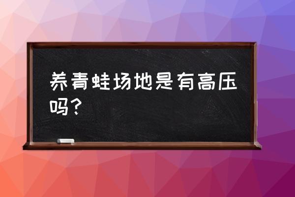 养殖青蛙的场地怎么建设 养青蛙场地是有高压吗？