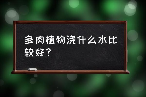 养多肉需要注意哪些 多肉植物浇什么水比较好？