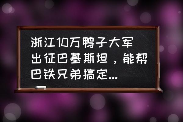 珍珠鸡的食用禁忌 浙江10万鸭子大军出征巴基斯坦，能帮巴铁兄弟搞定蝗灾吗？