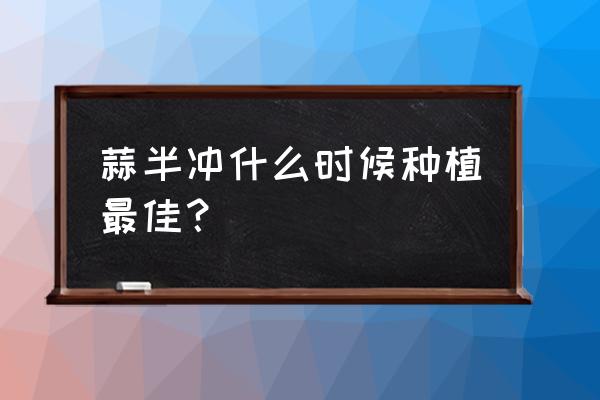 种植大蒜苗的最佳时间 蒜半冲什么时候种植最佳？