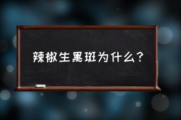 辣椒果实黑斑病的防治方法 辣椒生黑斑为什么？