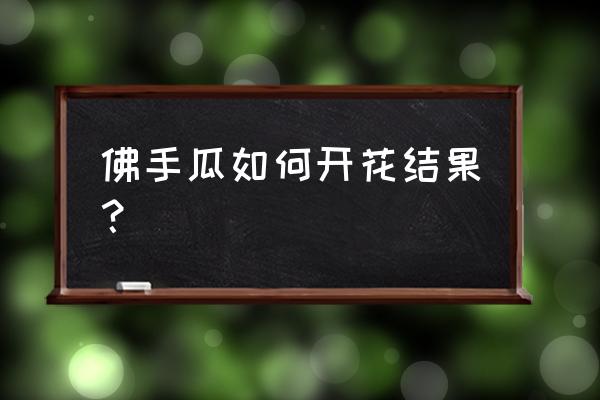 摩尔庄园领取丰收蛋糕在哪 佛手瓜如何开花结果？