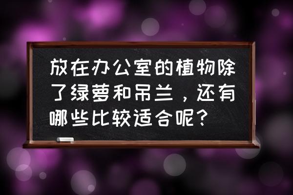 办公室放什么绿植好呢 放在办公室的植物除了绿萝和吊兰，还有哪些比较适合呢？