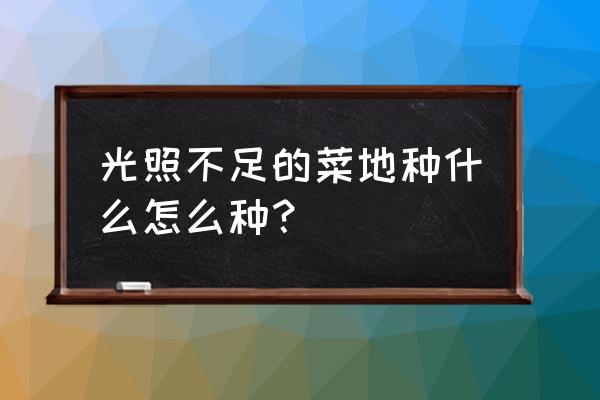 土培红薯盆景的方法是 光照不足的菜地种什么怎么种？