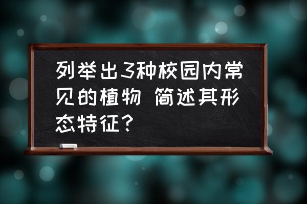 列举出3种校园内常见的植物 简述其形态特征？