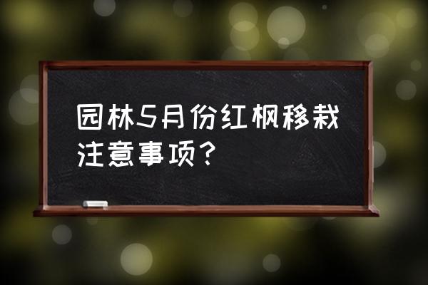 刚移栽的红枫怎么养护好 园林5月份红枫移栽注意事项？