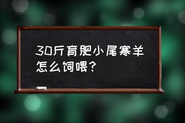 最新小尾寒羊养殖技术图片大全 30斤育肥小尾寒羊怎么饲喂？