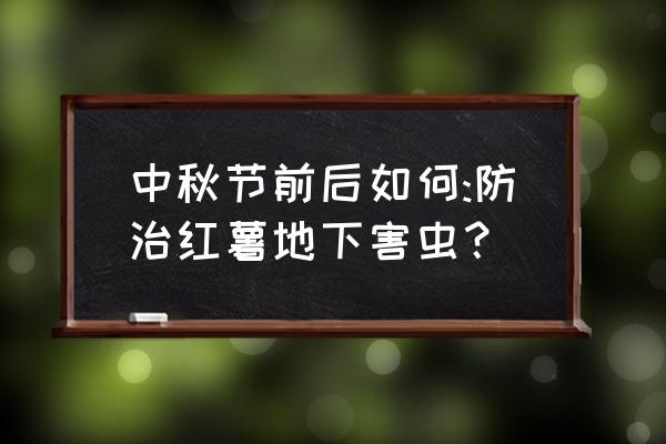 红薯地下害虫怎样防治用什么药 中秋节前后如何:防治红薯地下害虫？