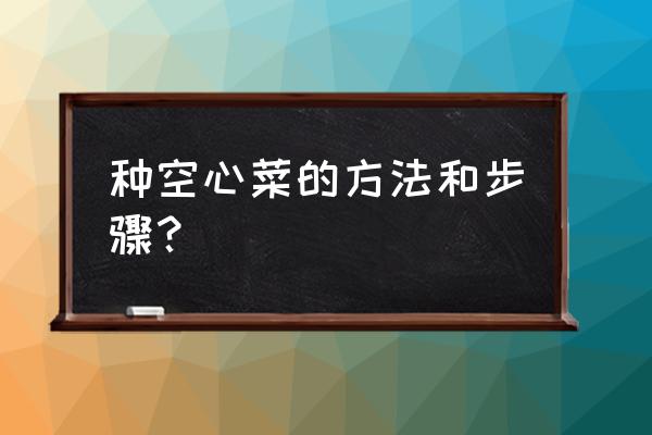 种空心菜怎么种最好 种空心菜的方法和步骤？