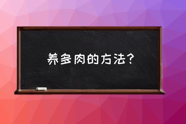 多肉植物的正确浇水 养多肉的方法？