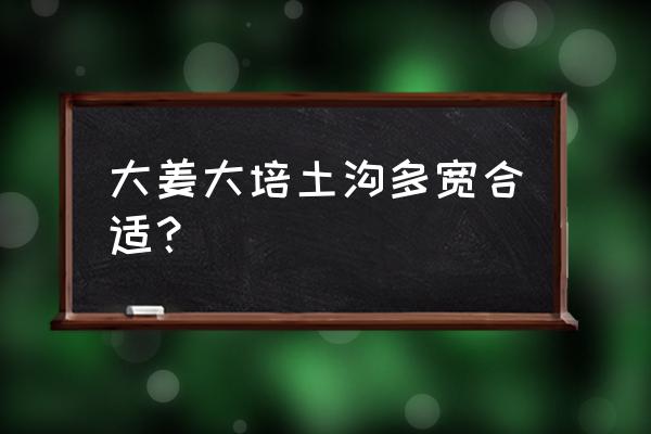 生姜种得多深适合什么时间种 大姜大培土沟多宽合适？