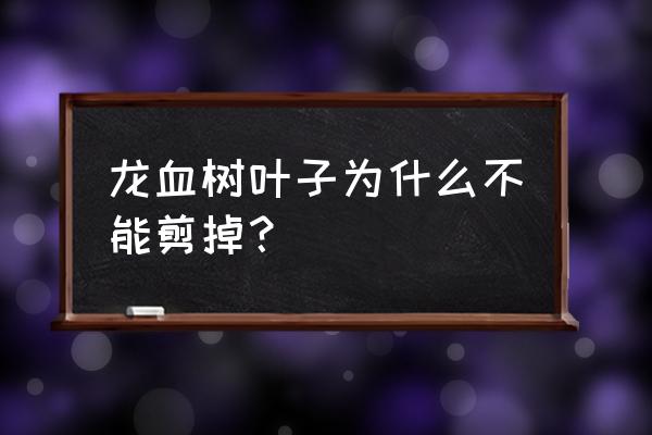 龙血树长得太高了怎样修剪 龙血树叶子为什么不能剪掉？