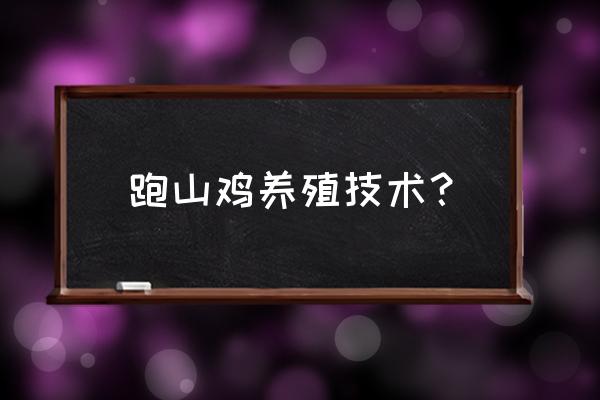 山鸡雏鸡怎么养 跑山鸡养殖技术？