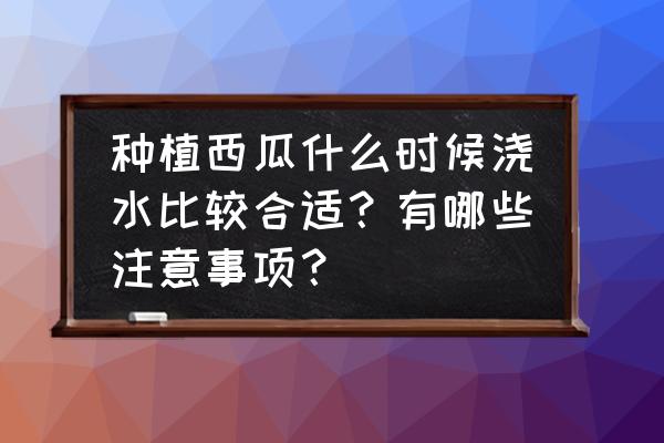 西瓜浇水是早上浇好还是晚上浇好 种植西瓜什么时候浇水比较合适？有哪些注意事项？