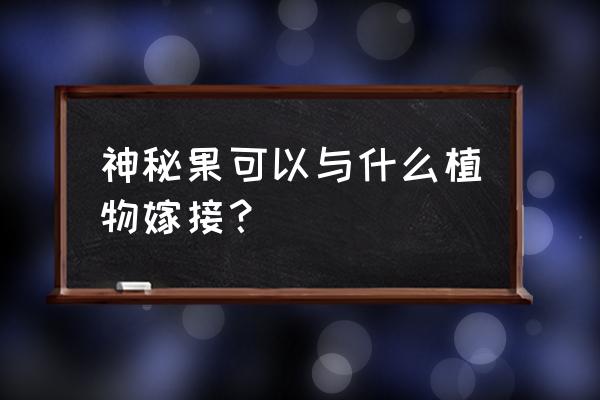 神秘果的功效与作用 神秘果可以与什么植物嫁接？