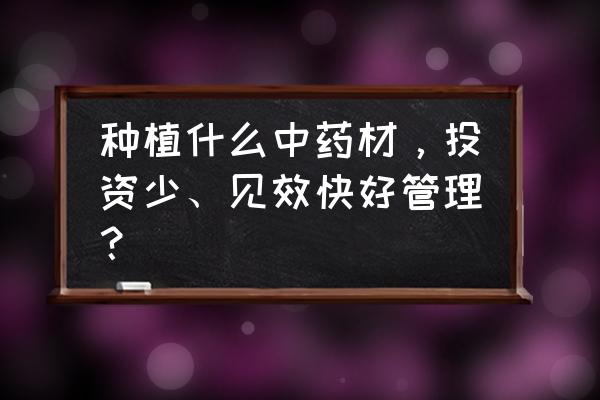 败酱草亩产多少斤 种植什么中药材，投资少、见效快好管理？