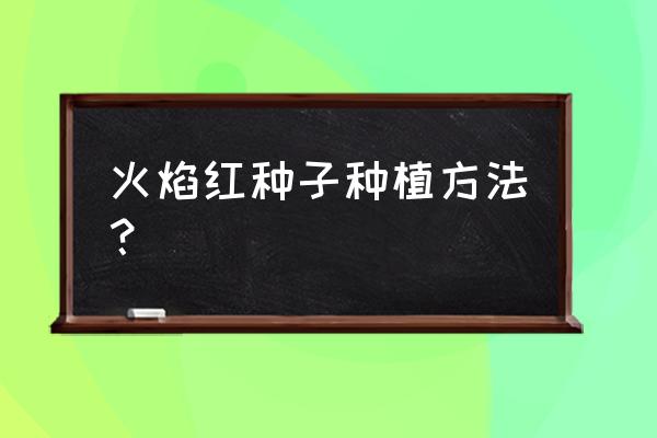 五代果种植方法 火焰红种子种植方法？