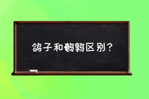 鹌鹑的喂养和鸡是一样的吗 鸽子和鹌鹑区别？