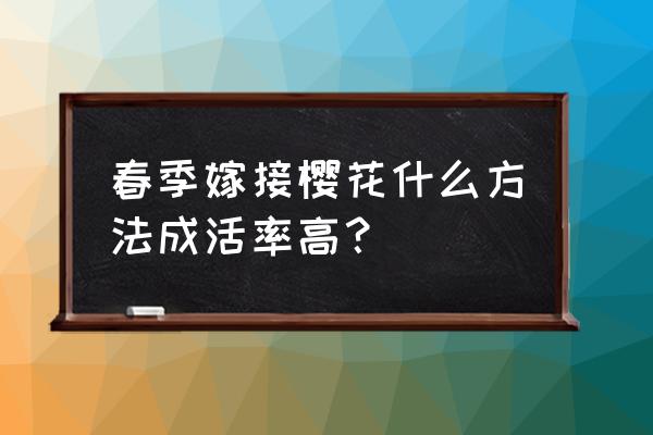 樱桃大树芽接的最好方法 春季嫁接樱花什么方法成活率高？