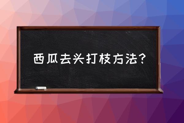 西瓜怎么修剪才能留瓜 西瓜去头打枝方法？