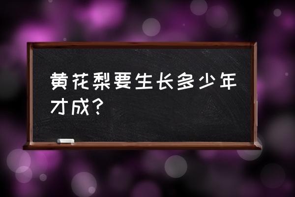 黄花梨适合在什么样的环境生长 黄花梨要生长多少年才成？