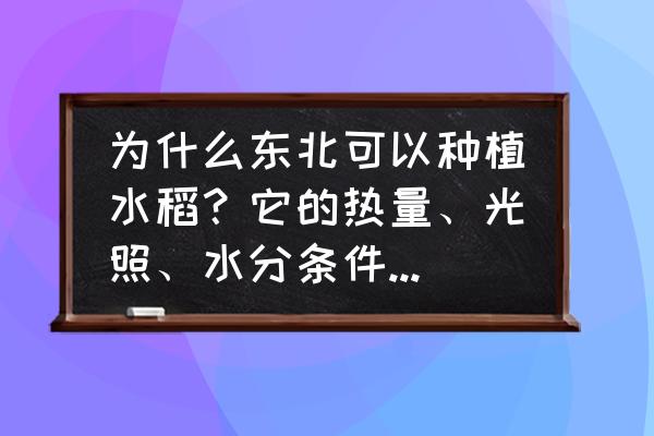 水稻一般种在什么地方 为什么东北可以种植水稻？它的热量、光照、水分条件适合水稻生长吗？