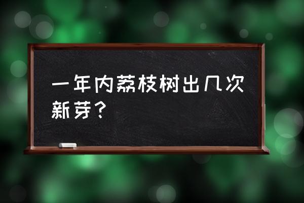 荔枝软件怎么开启睡眠模式 一年内荔枝树出几次新芽？