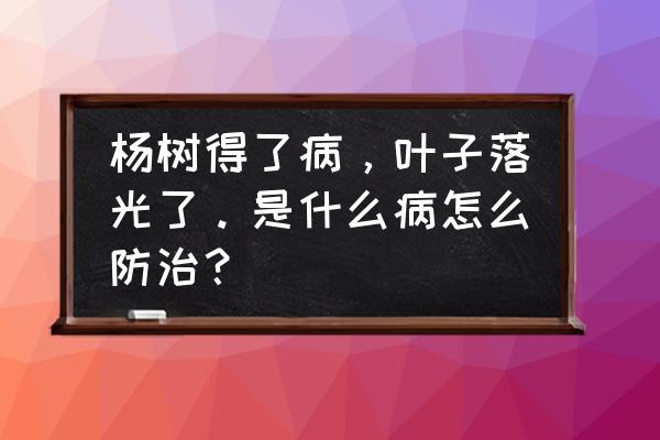 杨树叶子发黄脱落怎么办 杨树得了病，叶子落光了。是什么病怎么防治？