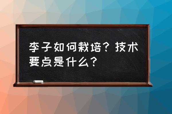 李子怎么挑才好 李子如何栽培？技术要点是什么？