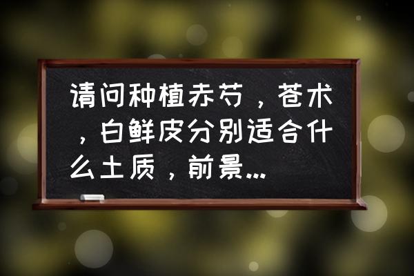 山东种植白鲜皮前景怎样 请问种植赤芍，苍术，白鲜皮分别适合什么土质，前景怎么样？