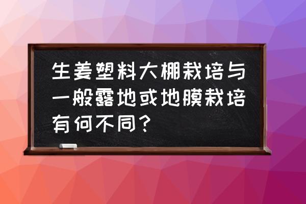 最简单的大棚生姜种植方法 生姜塑料大棚栽培与一般露地或地膜栽培有何不同？