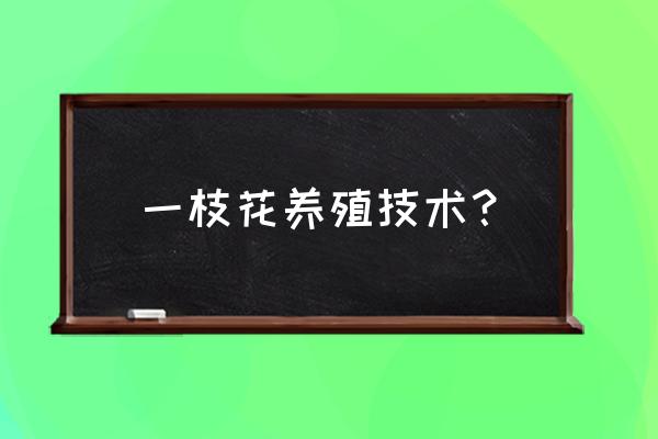 七叶一枝花病害如何防治 一枝花养殖技术？