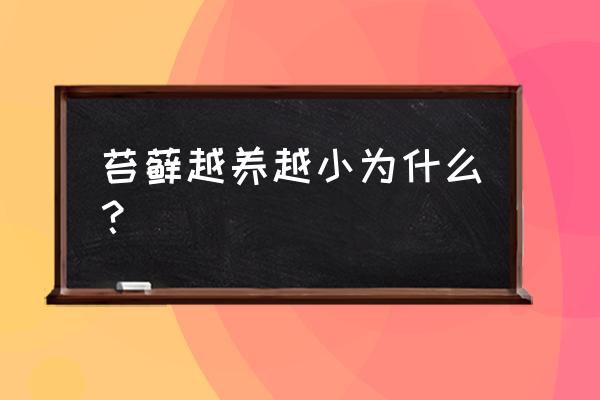 为什么苔藓植物生长得矮小 苔藓越养越小为什么？