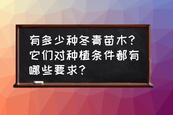 常见绿篱有哪几个品种 有多少种冬青苗木？它们对种植条件都有哪些要求？