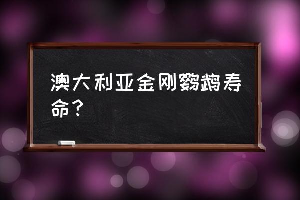 琉璃瓦片寿命一般多久 澳大利亚金刚鹦鹉寿命？