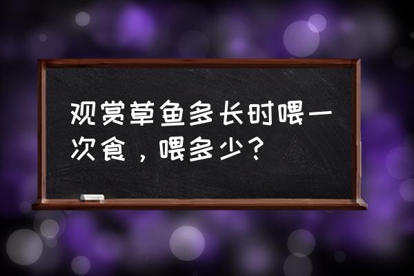 小缸养红草鱼的正确方法 观赏草鱼多长时喂一次食，喂多少？