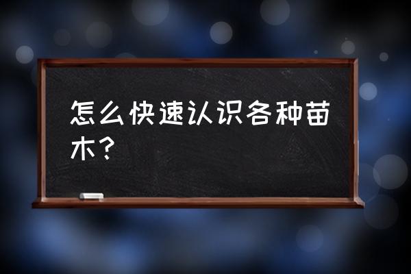 怎样识别各种树木 怎么快速认识各种苗木？