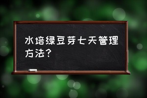 绿豆芽苗菜种植技术 水培绿豆芽七天管理方法？