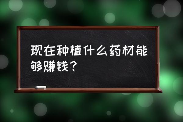 红芪灵芝炖汤最佳做法 现在种植什么药材能够赚钱？