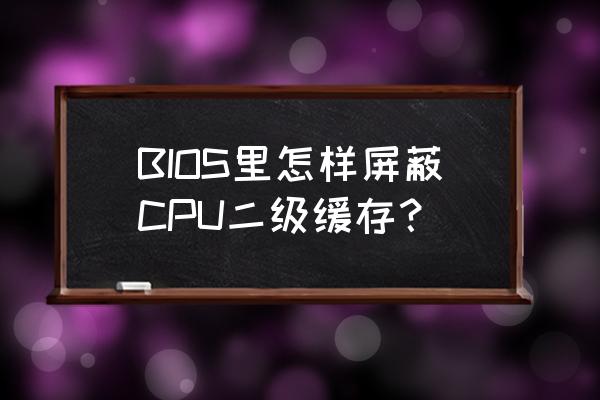 笔记本中什么是二级缓存 BIOS里怎样屏蔽CPU二级缓存？